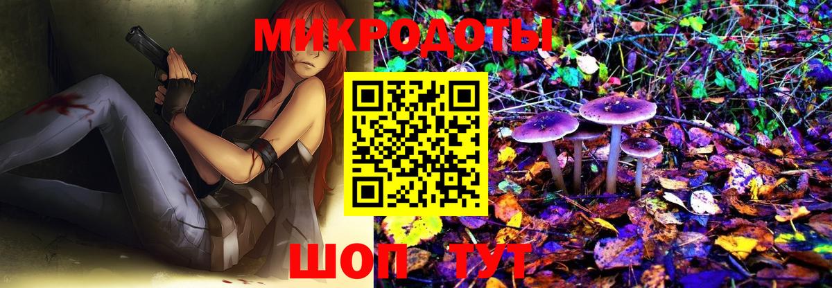 Псилоцибиновые грибы Psilocybe Ревда